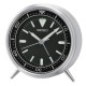 Horloges Premium Seiko QXE065K